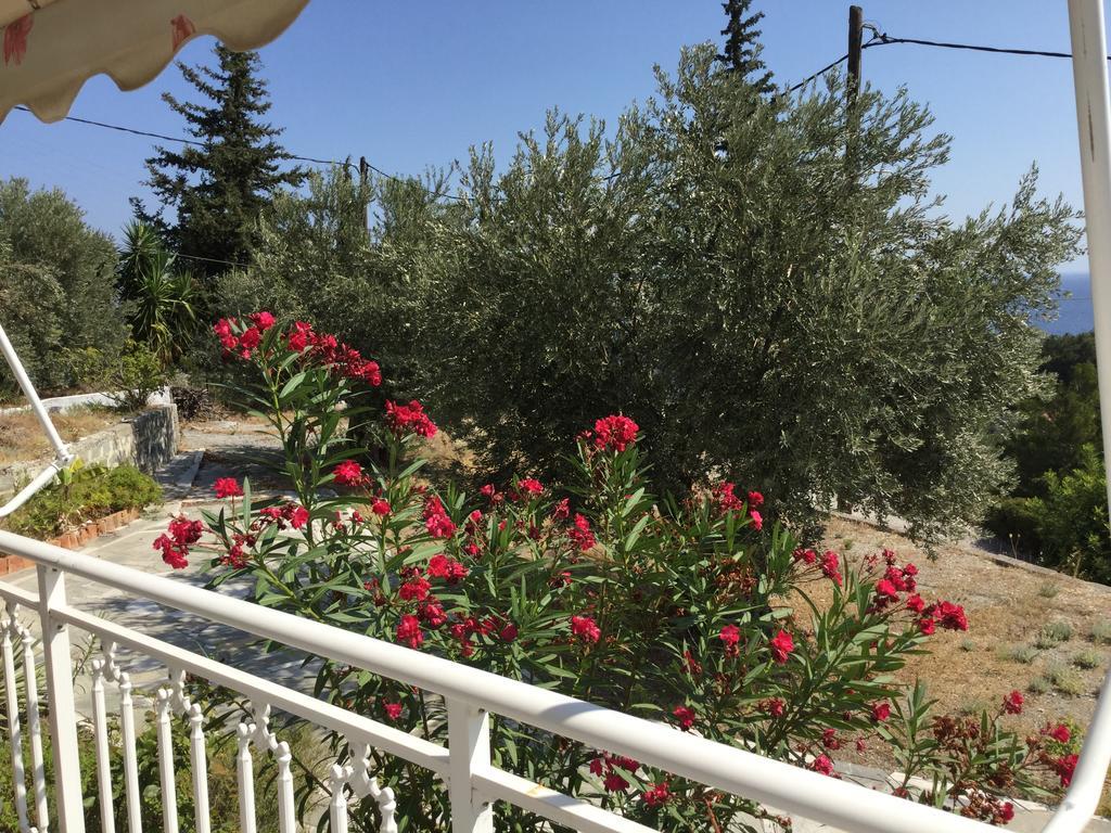 Villa Seretis Kokkari Buitenkant foto